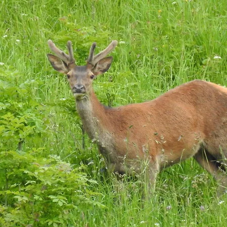La Boucle De L'adour - 5 Personnes Pmr *