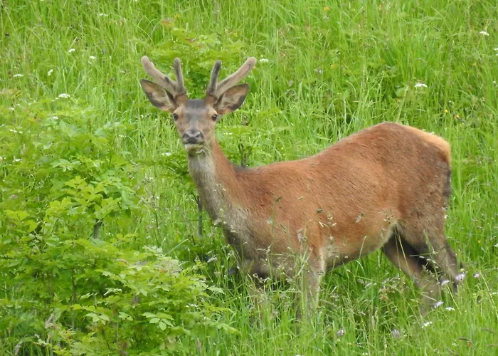 La Boucle De L'adour - 5 Personnes Pmr *